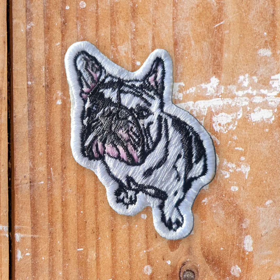 Mini Patch 